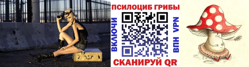 Псилоцибиновые грибы Cubensis Снежинск